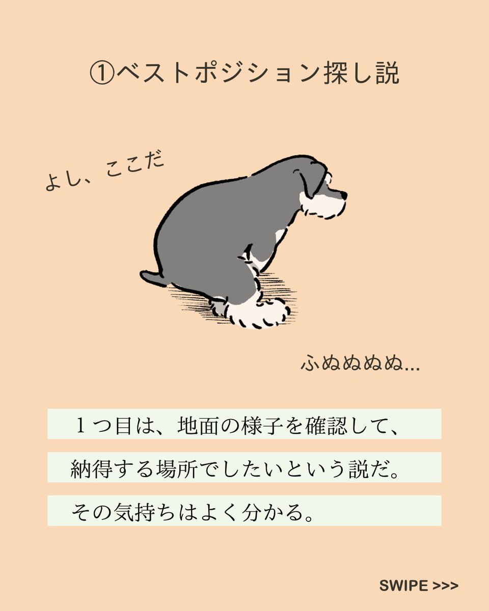 【#変な犬図鑑】
No.219 トイレコダワリーヌ
うんちの時にくるくる回るあの犬です。 