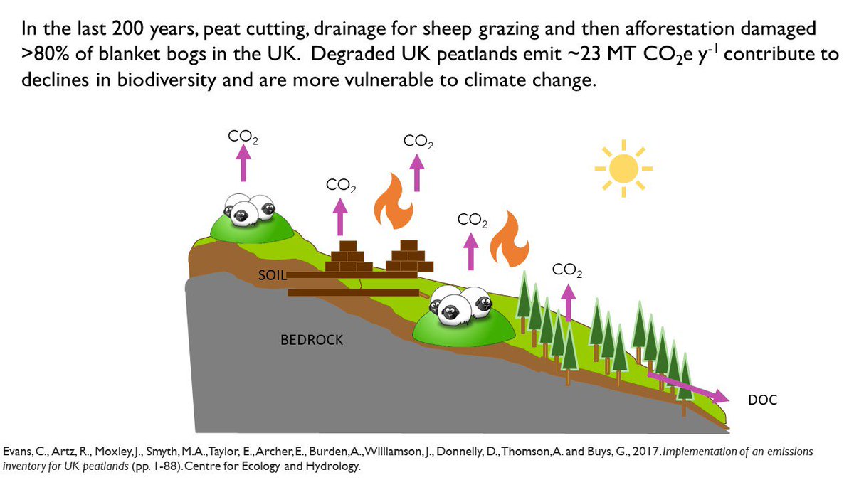 @Flowsresearch shows the carbon dynamics of near natural and degraded blanket bog @ERI_UHI @UHI_NH @UHI_Research peatland theme showcase!