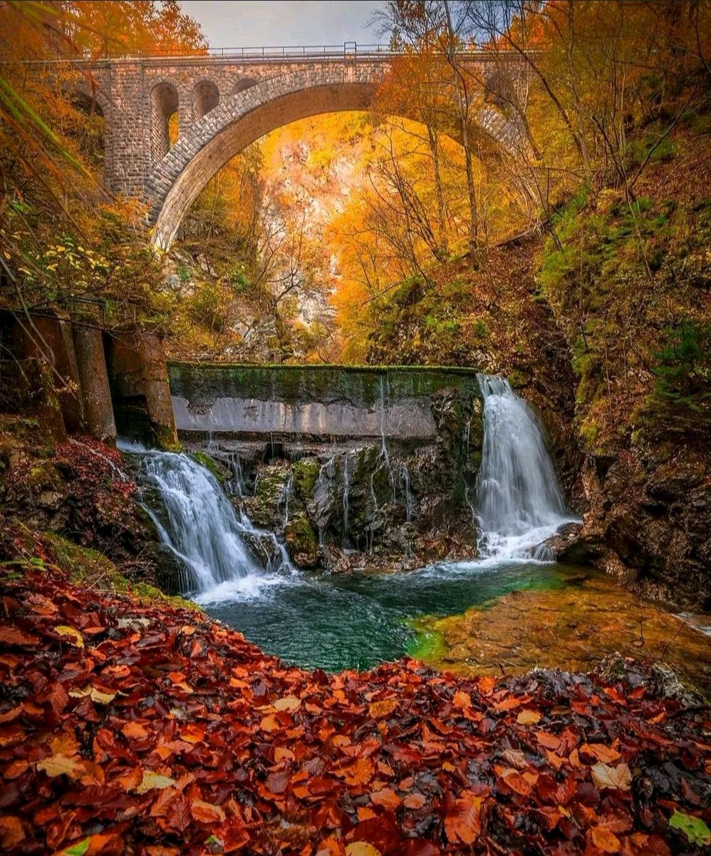 _magical_nature's tweet photo. Slovenia https://t.co/r9MMdtYa4V