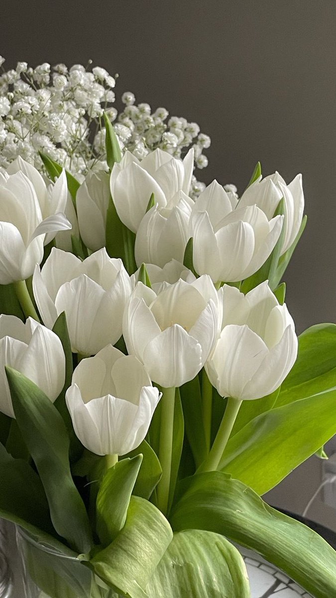 saintsukiprods's tweet photo. @radiantefiles @aceshitz @96slit @LightFILES @T_KTworkhive @vaccilation @acsworks @gracylisfiles ㅤ

https://t.co/DHOT8MY5IZ´ˎ˗ 
── ☽   “ These are hand picked fresh from our garden. Please do get one and pass! Hehe. ”

ㅤ https://t.co/rFupoNlkSb