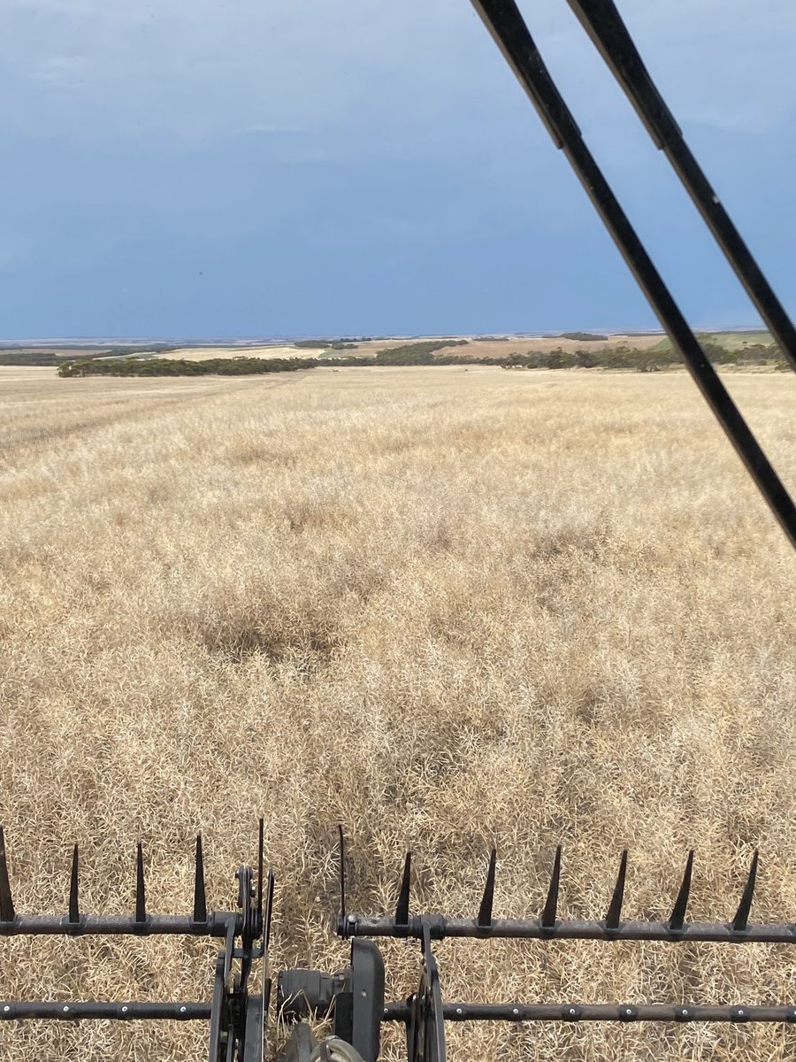 Ashley Butterfield tweet media