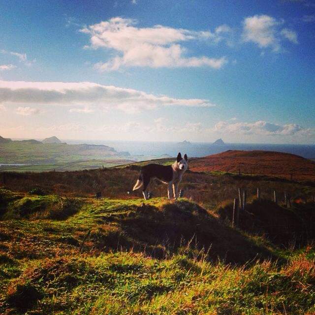 Damien St John tweet media