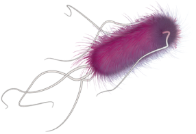 ¿SABES QUÉ ES ESTO? 

🗓️ 18-24 de noviembre 
🌍 Semana Mundial de Concienciación sobre el Uso de los Antimicrobianos

Esto NO es un virus. ¿Entonces qué 🤬es?  
¿Puede ser igual de peligroso?😱 
Hay 6 sueltos por el campus…¡Ayúdanos a atraparlos a todos! Atento a las pistas🔎...