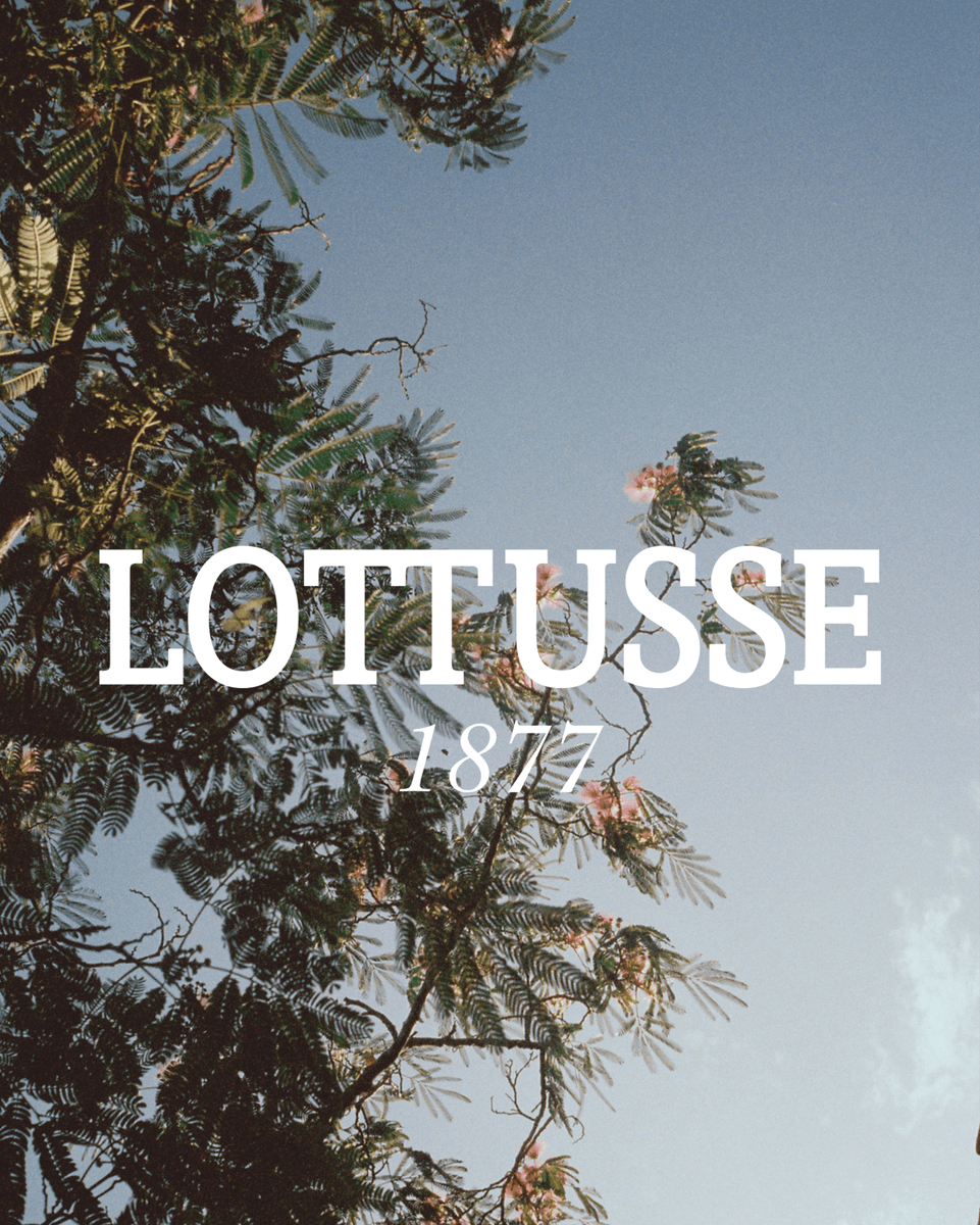Join the Mediterranean crafts at lottusse.com
#MadeWellSince1877 #CraftingTheFuture #AW22
