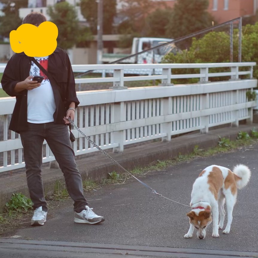 世界一かわいい(異論は認める)うちの犬が天国にいっちゃった。

16年10ヶ月も一緒に過ごしたから、いなくなったことがまだ実感ないけど、僕の人生に最高の思い出というプレゼントをくれてありがとう。

天国で走り回って待っててね。