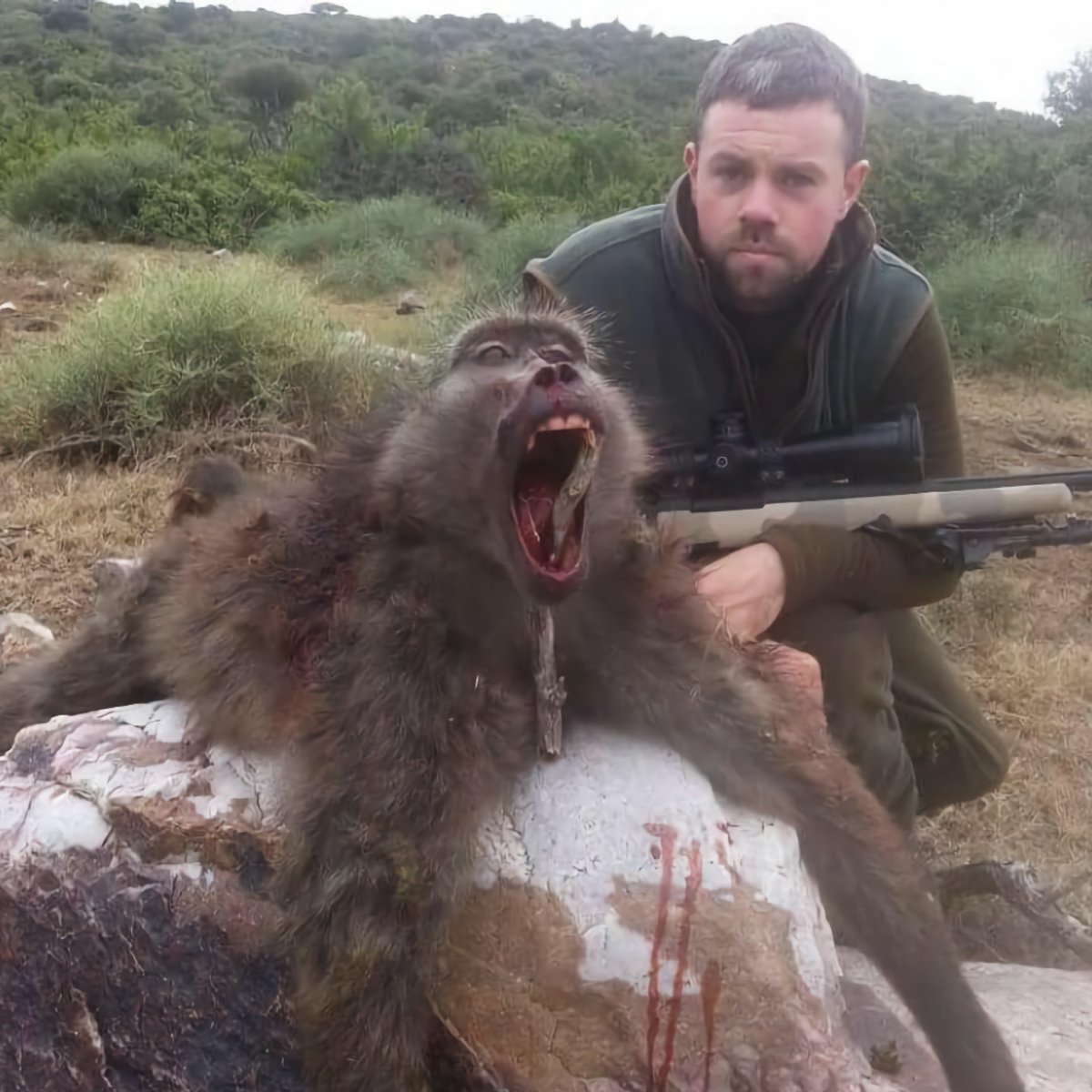 Campaign to Ban Trophy Hunting tweet media