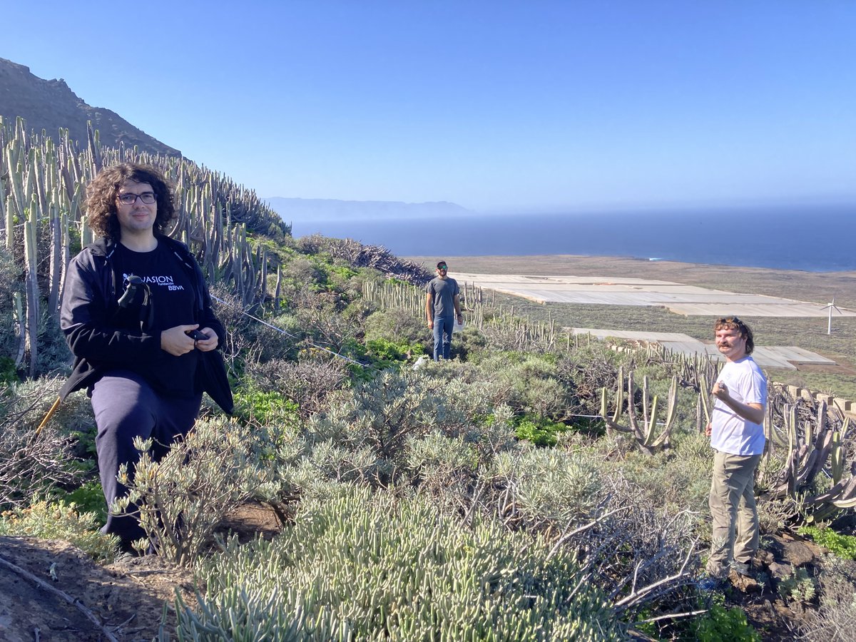 JairoPatino_Lab's tweet photo. Hoy estamos de celebración📢📢 Hemos finalizado el muestro en #Tenerife de nuestro proyecto #INVASION financiado por la @FundacionBBVA dedicado a profundizar en el problema de las plantas invasoras en Canarias. Un hito importante si tenemos en cuenta que 🧵👇🏾 (1/5) https://t.co/0CFr99qIac