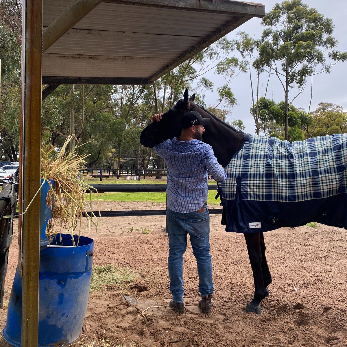 Finishing touches (aka cuddles) for Ironclad complete ahead of the G1 Railway Stakes 🥰 #lovethehorse