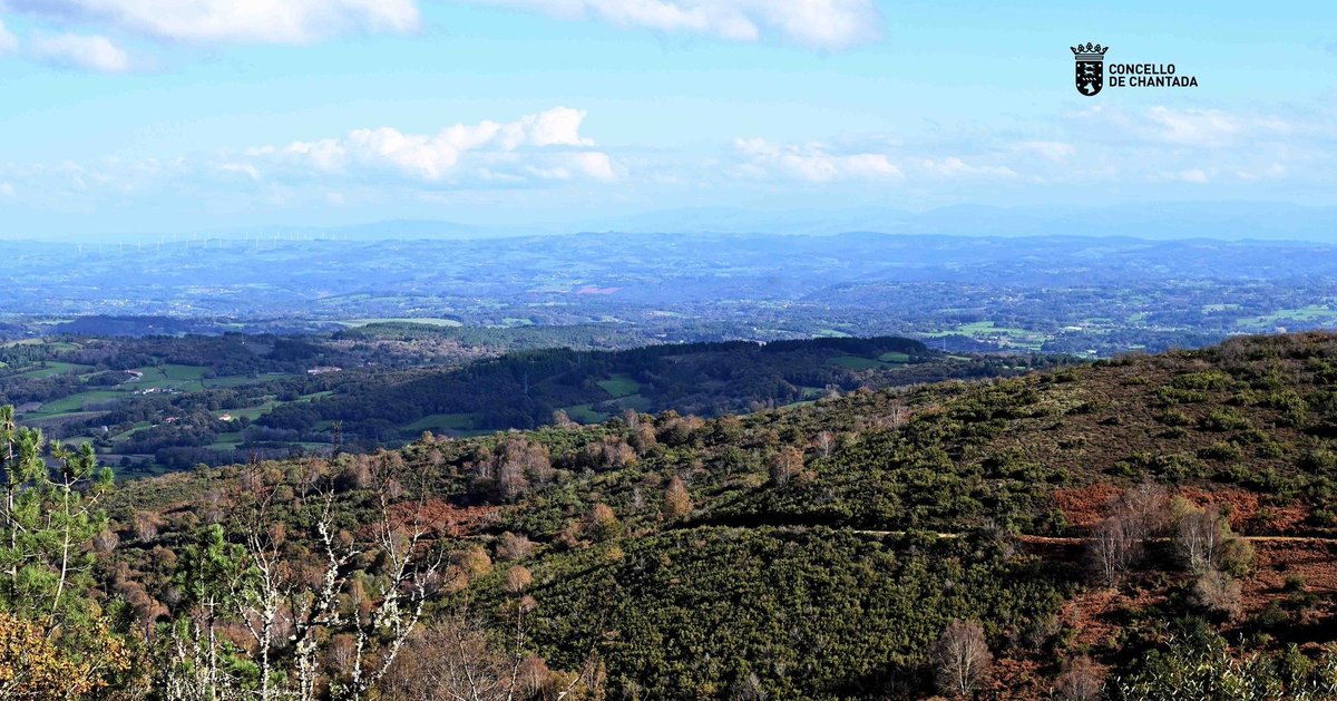 Chantada Concello tweet media