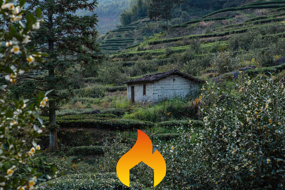 go_interfaz's tweet photo. En #GOInterfaz queremos:
💚 Crear herramientas para manejar la interfaz urbano-forestal y el entorno de los núcleos rurales minimizando riesgo de incendios
💚 Generar alternativas de gestión sostenible
💚 Mejorar la cooperación https://t.co/RJpeX9U1zW