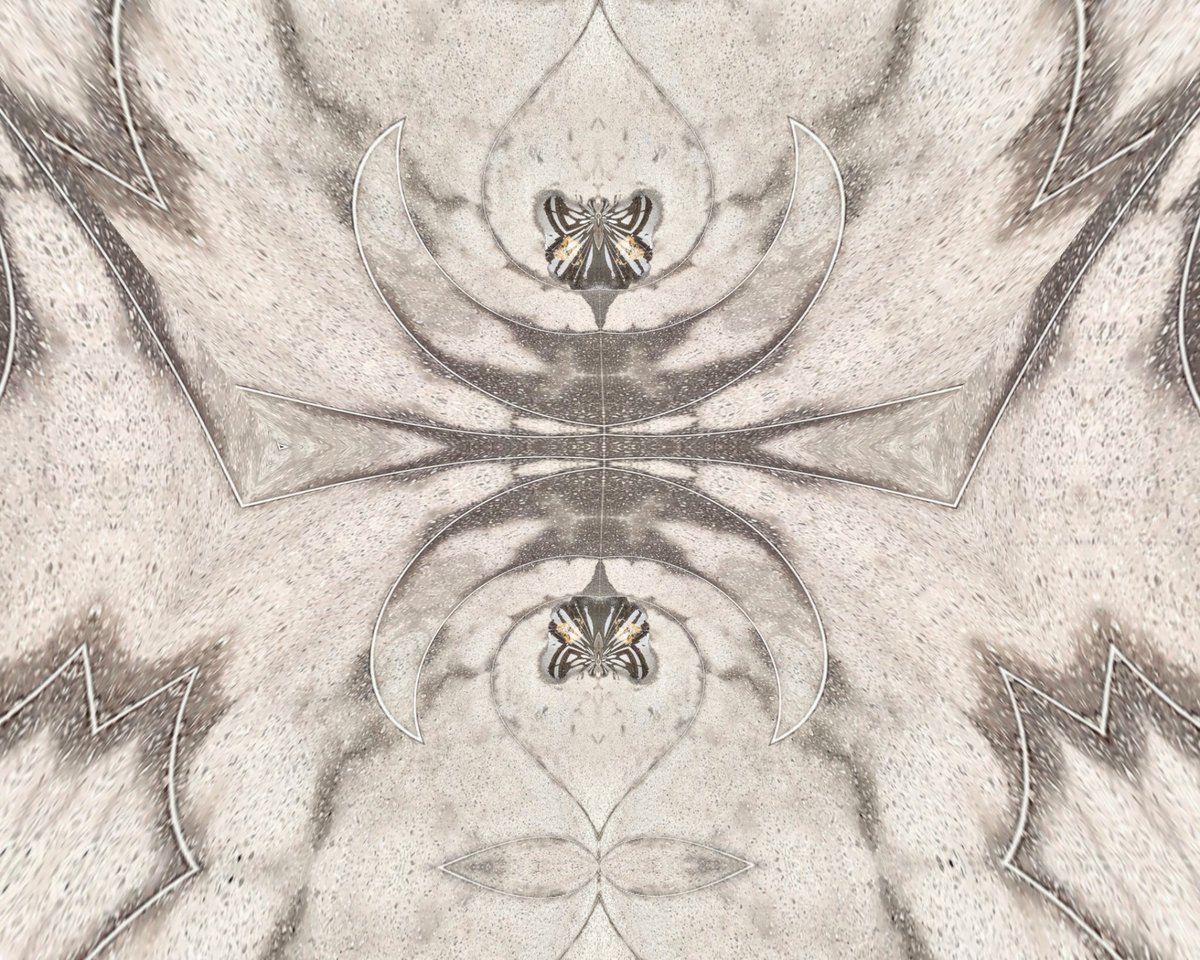 GM NFT community!
✊🏿