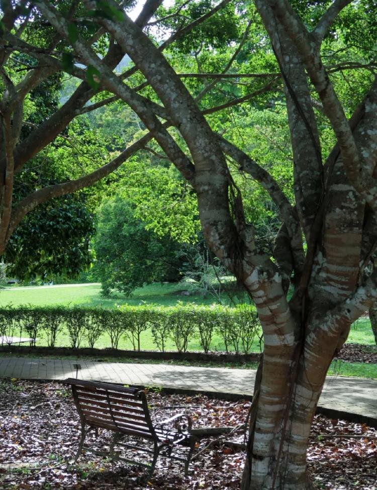 Windfall_cc's tweet image. It turns out that going to the park to watch kites is also an interesting thing.