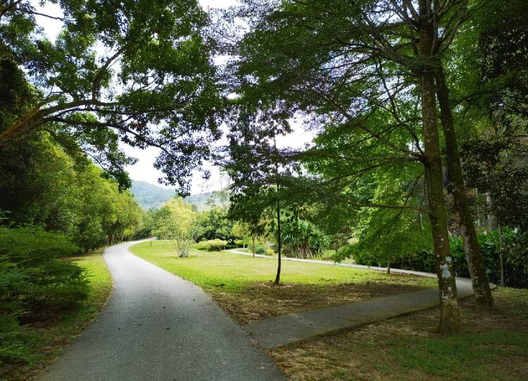 Halcyon_cc's tweet photo. The tasks are all done~ relax and go to the park alone happily. https://t.co/FHsm5XPvA3