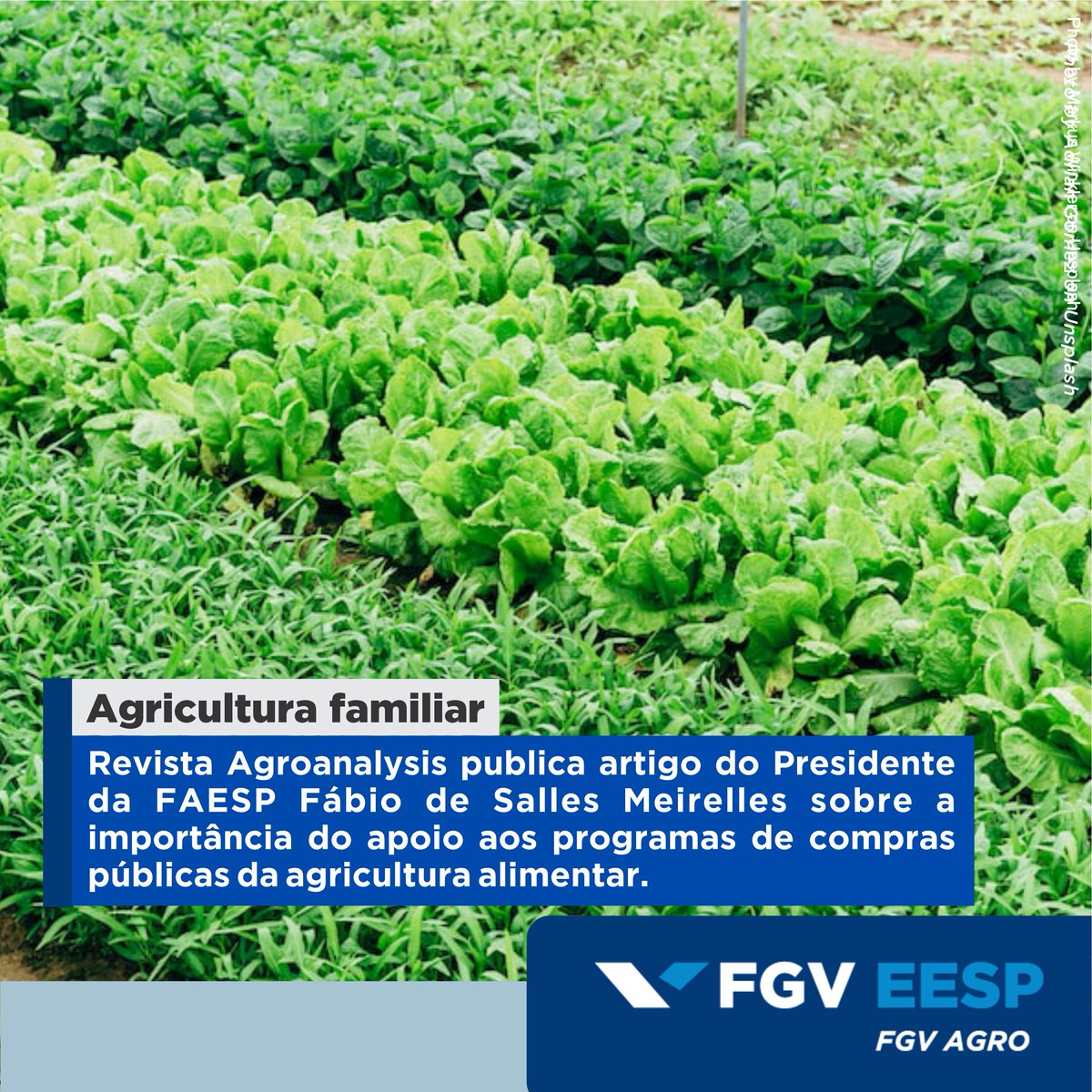 fgv_agro's tweet image. O Presidente da Federação da Agricultura e Pecuária do Estado de São Paulo, Fábio de Salles Meirelles, defendeu o apoio aos programas de compra pública da agricultura familiar em artigo publicado na última edição da revista Agroanalysis. Leia em linkedin.com/posts/fgvagro_…  #faesp