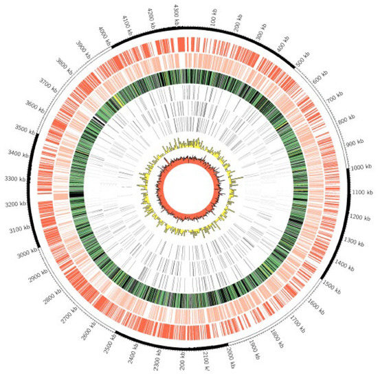 Pathogens_MDPI's tweet image. #Mycobacteriumbovis Strain Ravenel Is Attenuated in Cattle 

✏️by Syeda A. Hadi et al.
👉Full-Text mdpi.com/2076-0817/11/1…
#tuberculosis
#pathogenomics