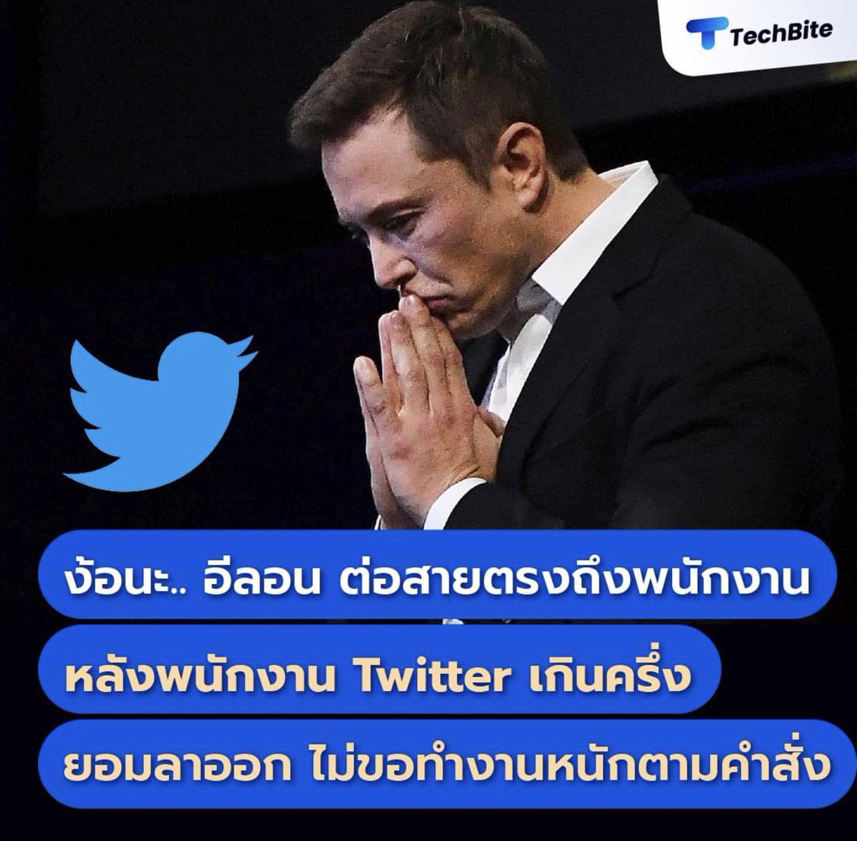 โถ่อิห่านึกว่า555555555555555555555555จะเก่ง55555555555555555555 ไม่ต้องย้ายไปไหนแล้วนะทุกคนกลับมาซบทวิตเตอร์ได้แล้ว ง้อนะ #RIPTwitter