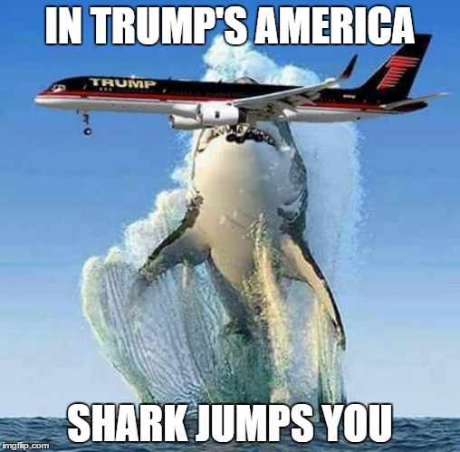 Abba_Annabelle's tweet photo. @elonmusk #SharkJumping https://t.co/1iph8aPFM2