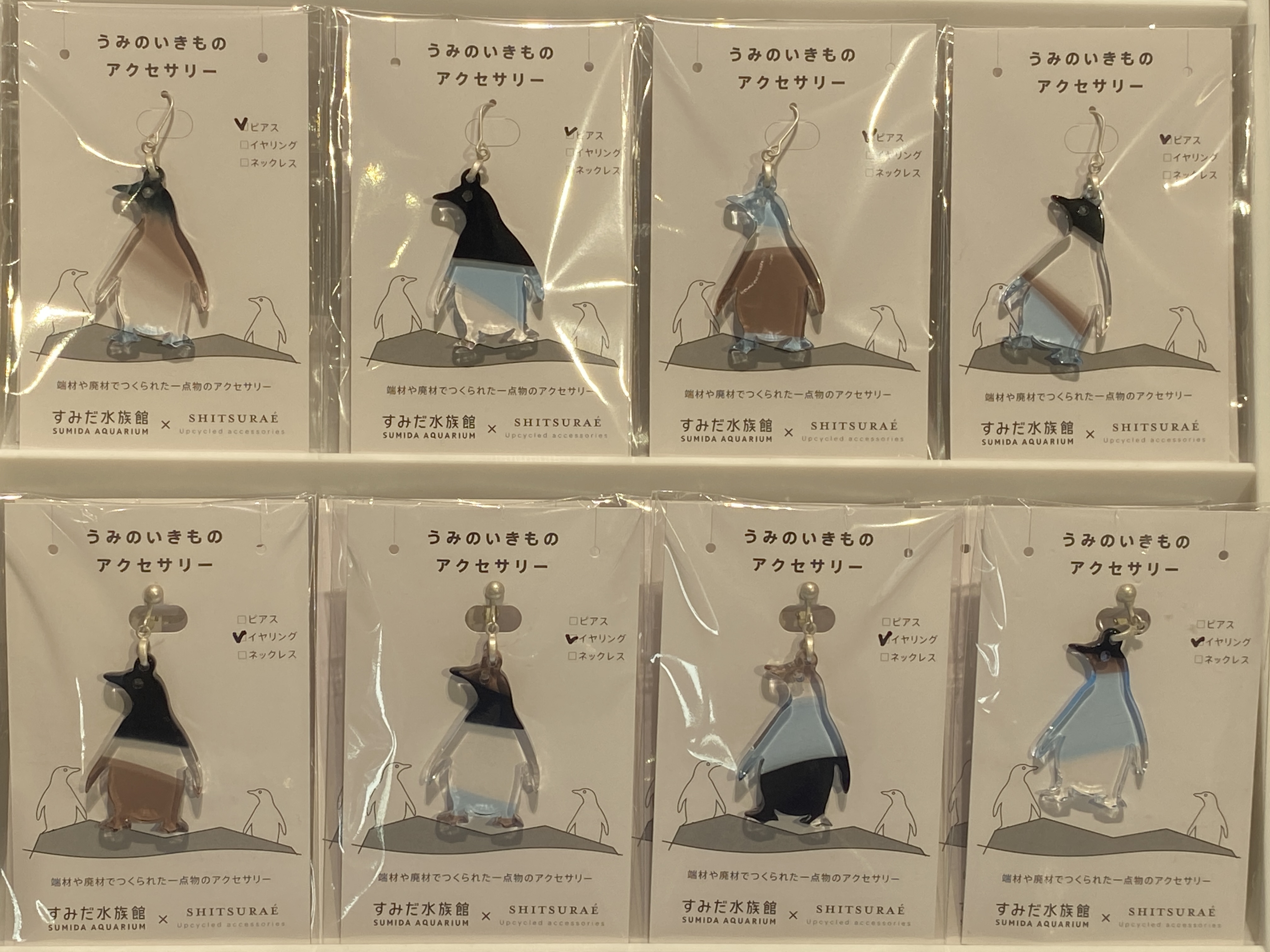人気が高い すみだ水族館【公式】 on X:  アクセサリー
