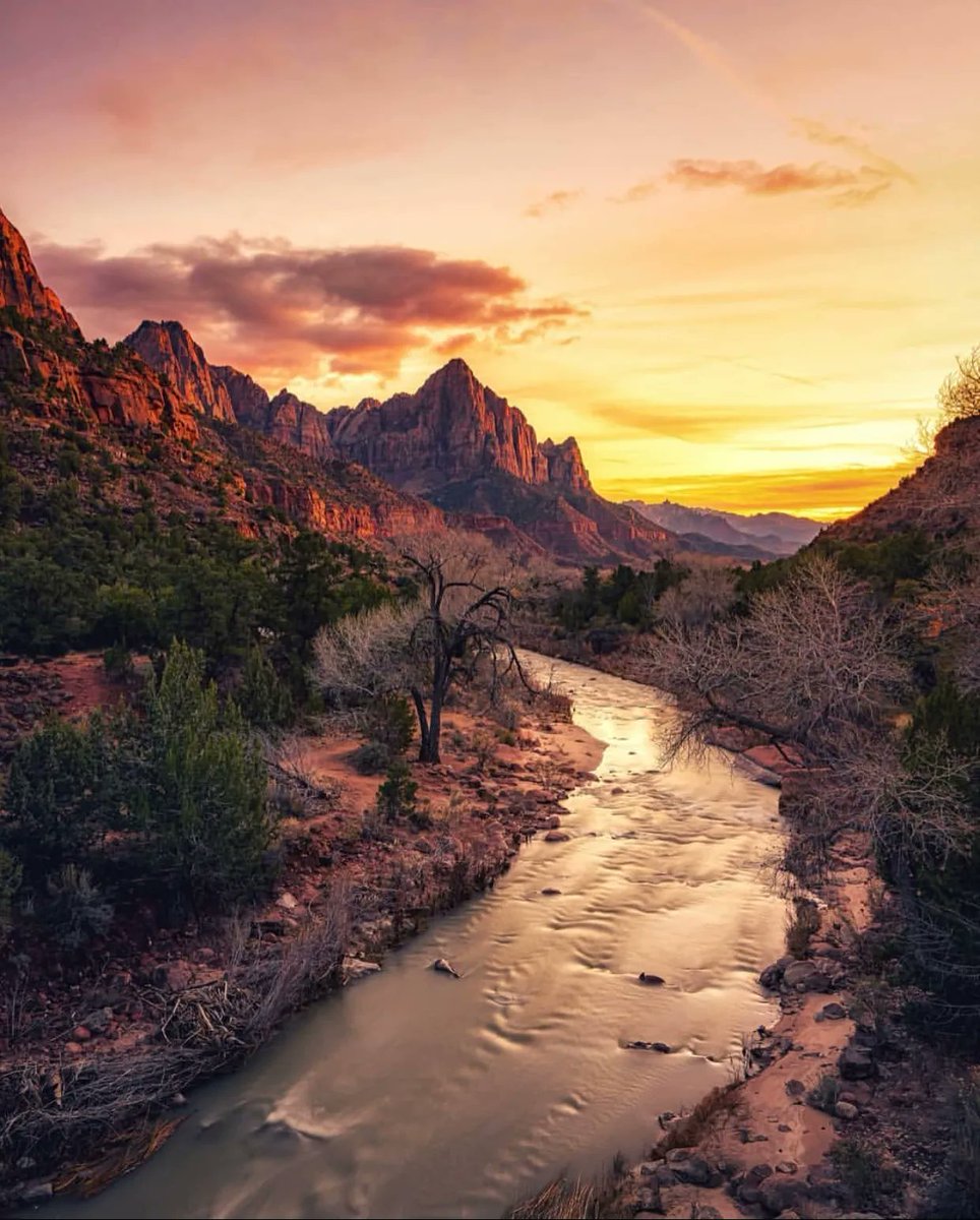 views_Icon's tweet image. Zion National Park