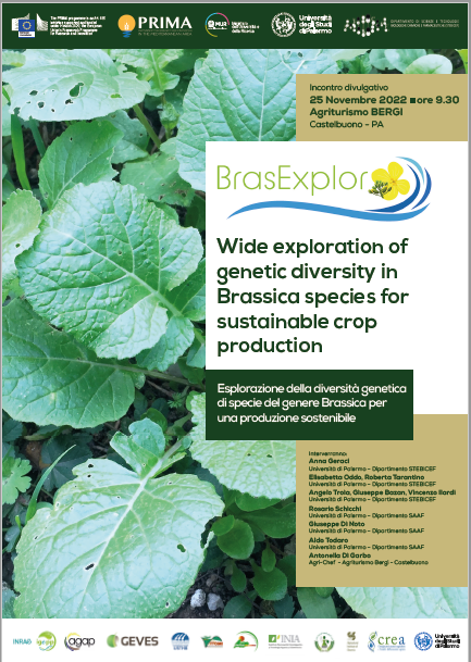 On November 25 the <a href="/BrasExplor/">BrasExplor</a> team from UniPa is organizing a dissemination meeting at an Agritourism Farm near Palermo (Italy), to talk about the project and taste local #Brassica specialities

<a href="/unipa_it/">UniPa</a> <a href="/PrimaProgram/">PRIMA Program Mediterranean Partnership 🇪🇺</a>