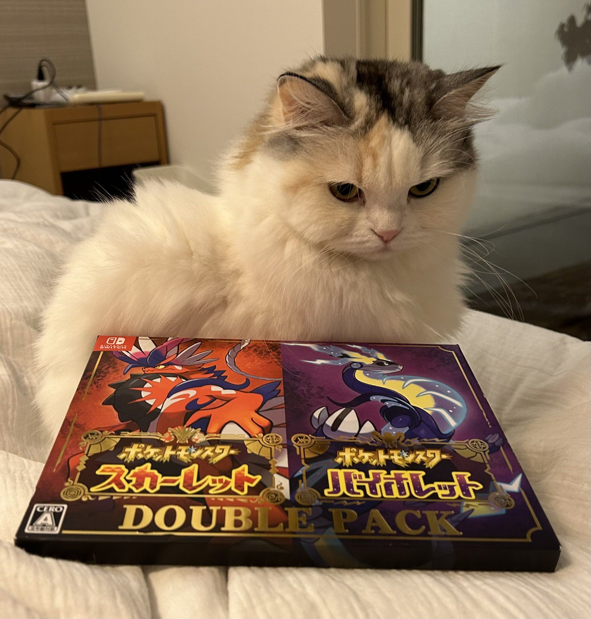 もっちもち (@OrEfwQpknUoCVYW) / X