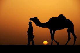 #مسافر

مسافر والدروب العاجله ما تقبل المهله
يخاف ان المسافة تبتعد وتخون خطواته

مسافر والركايب هيّنه ما تقطع الرحله
وقف محتار ما بين الصحيح وزيف رغباته

مسافر كلما علمه تقدم يكتشف جهله
امام المعجزات الواضحه والكون وآياته

#احمد_بن_عائض