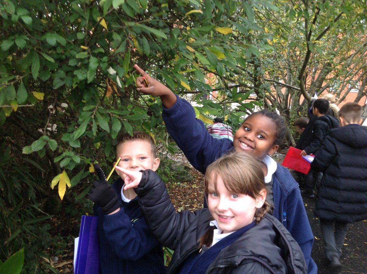 GBS_Ash's tweet photo. We loved being Stone Age Hunter gatherers in our History lesson. #gbs4history https://t.co/W802nl4iOq