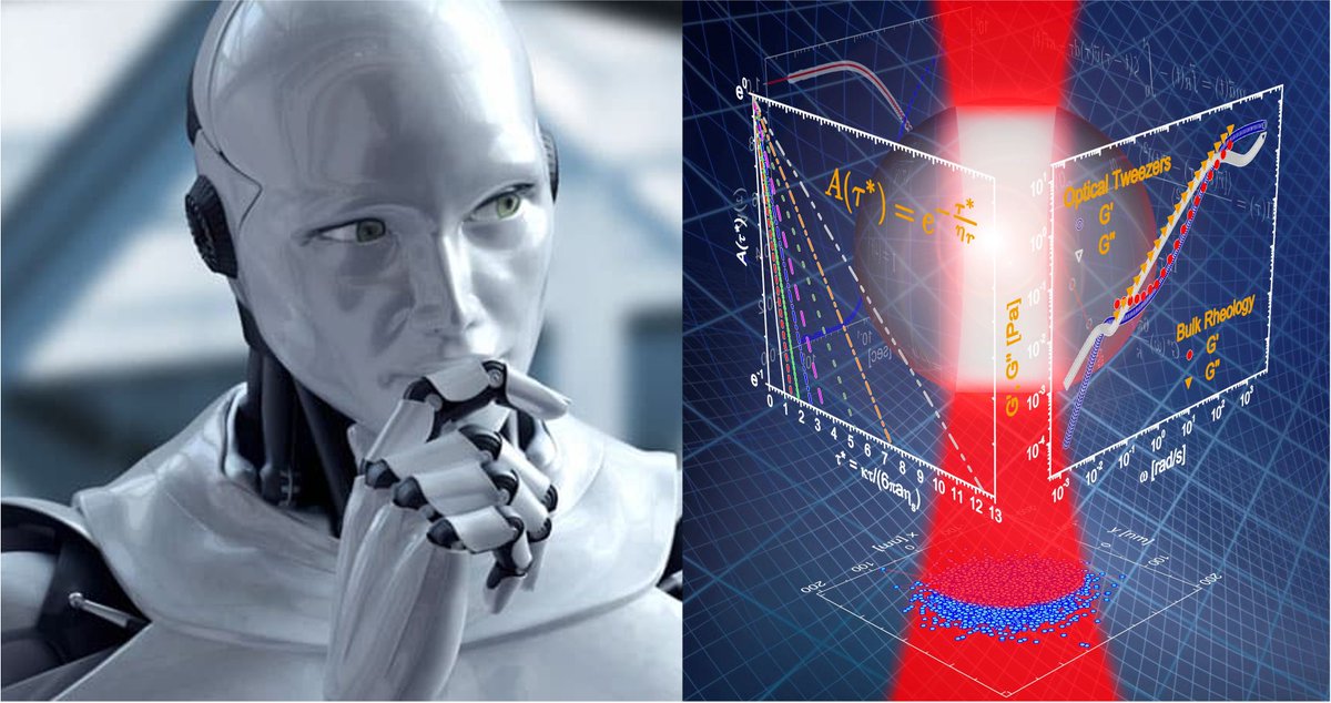 Manlio Tassieri tweet media