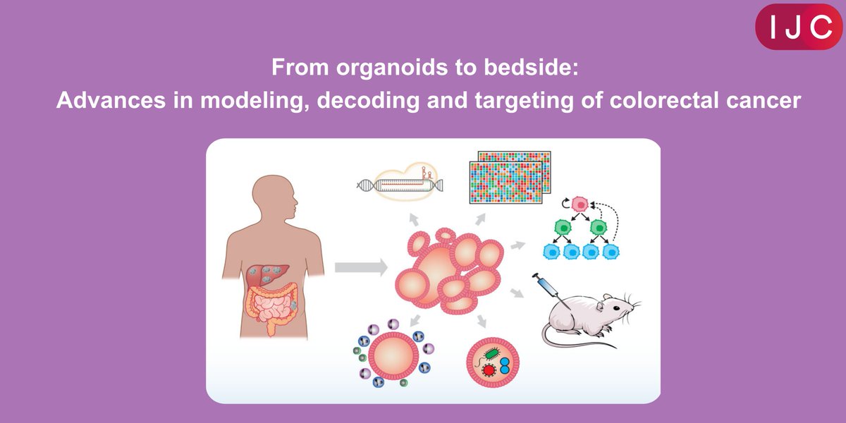 🔥NOW ONLINE 🔝

Read the thorough review by <a href="/drbetge/">Johannes Betge</a> and <a href="/jackstadt_lab/">Jackstadt_lab</a> on #organoid –based research for #colorectalcancer

🔓OPEN ACCESS 
➡️doi.org/10.1002/ijc.34…