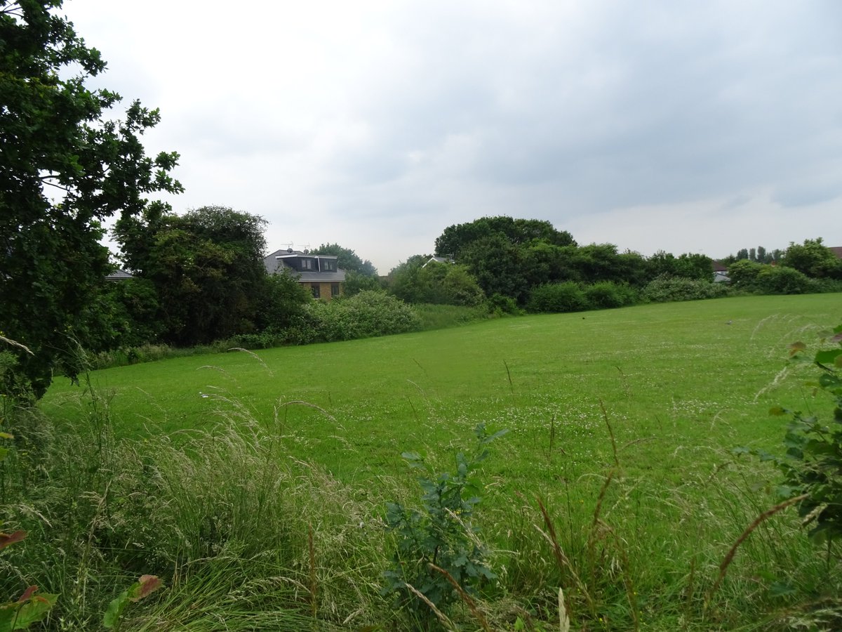 25 trees gone, hedgerow gone, veteran trees gone, open field gone, known bat roost nearby:- exactly what we were told wouldn't happen at the  presentation by council officers on the #KingstonLocalPlan <a href="/KingstonSociety/">Kingston Society</a>  please read more here alisonfure.blogspot.com/2022/11/anothe…