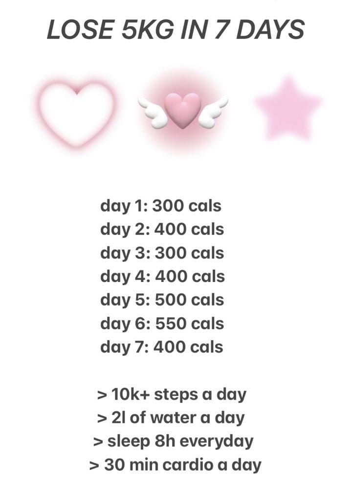 edtwt / mutis, ¿alguno de vosotros tiene experiencia haciendo alguna de estas dietas, o cualquier otra que recomienden? necesito volver a tener el control sobre lo que como.