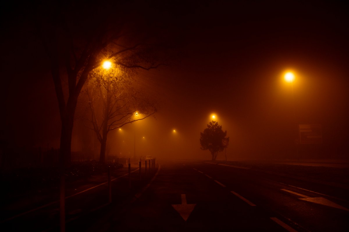 k_maricia's tweet photo. Lone stranger. https://t.co/1c3hGQR9px
