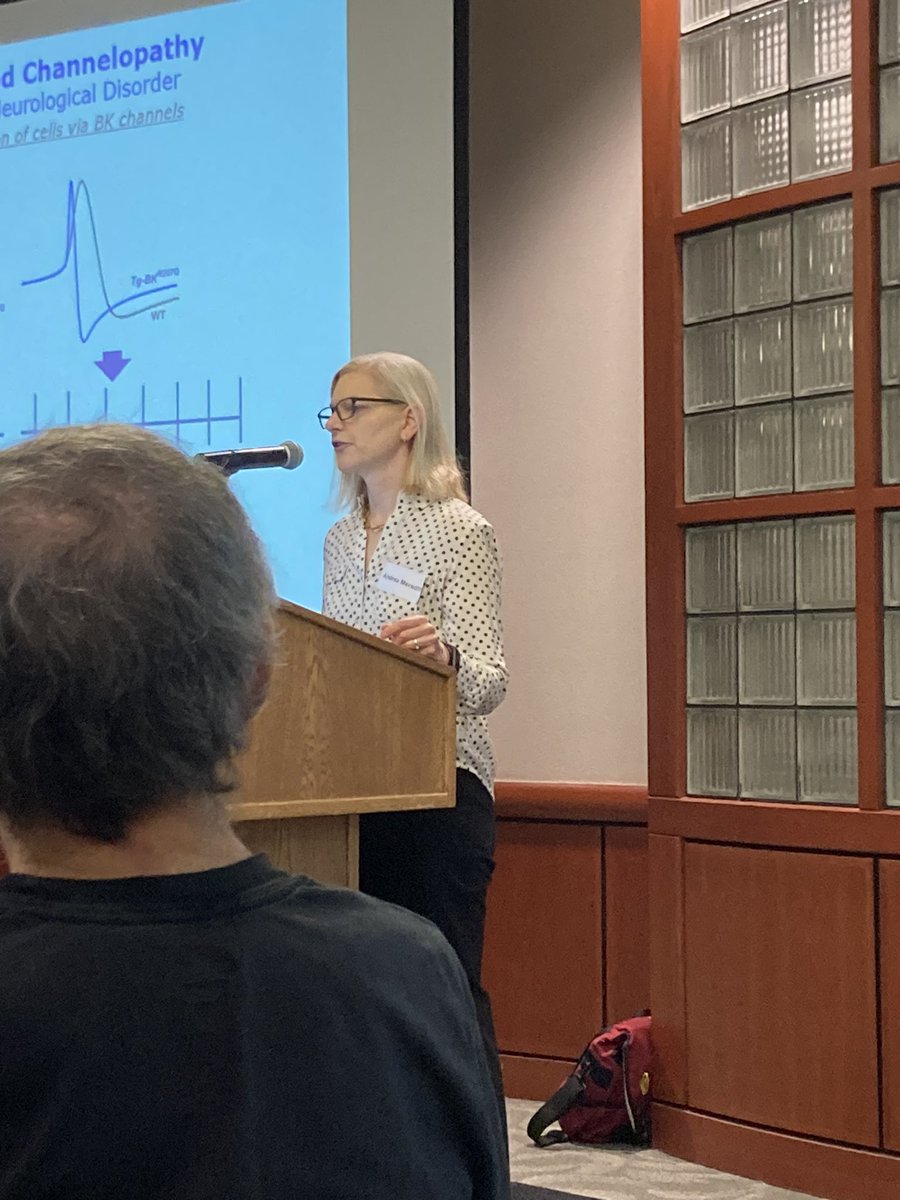 <a href="/BKChannels/">Team Science</a> tells us about how biophysics sheds light on rare inherited diseases &amp; helped to identify repurposed drugs as treatments.