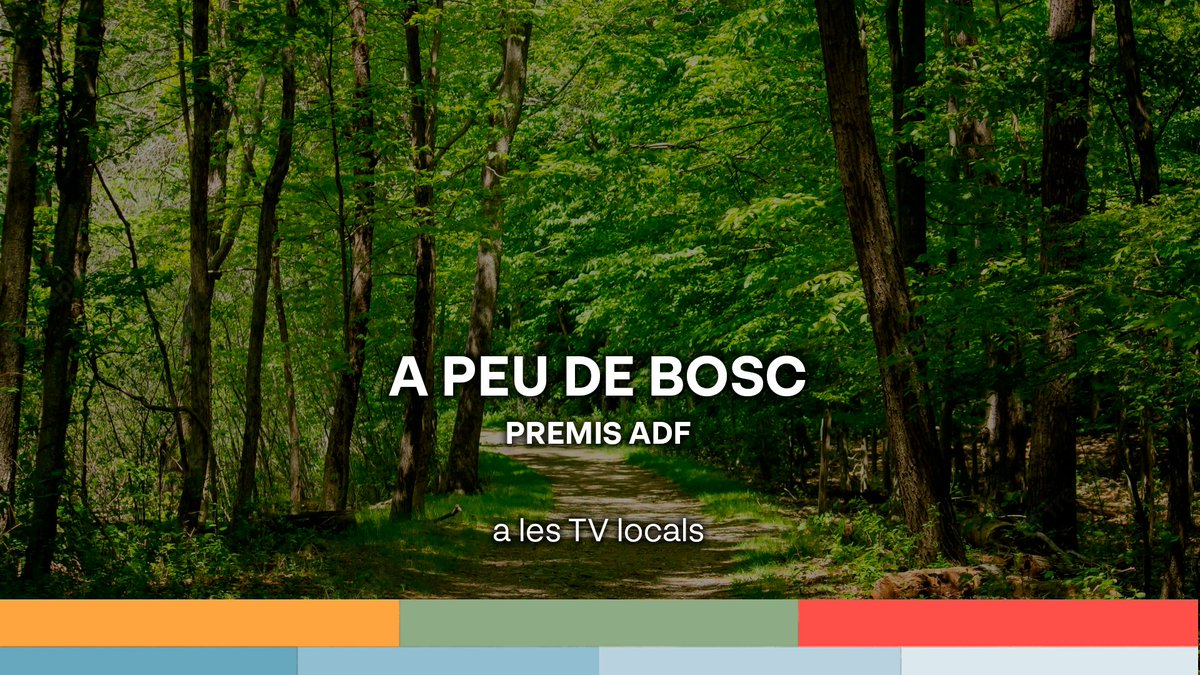 laxarxa's tweet photo. Caminem #APeuDeBosc! 🌳
A partir de les 22.30h segueix el lliurament dels #PremisADF2022 📺 a les TV locals.
@diba @adfcat @sfadfcat https://t.co/14uhFr1Zra