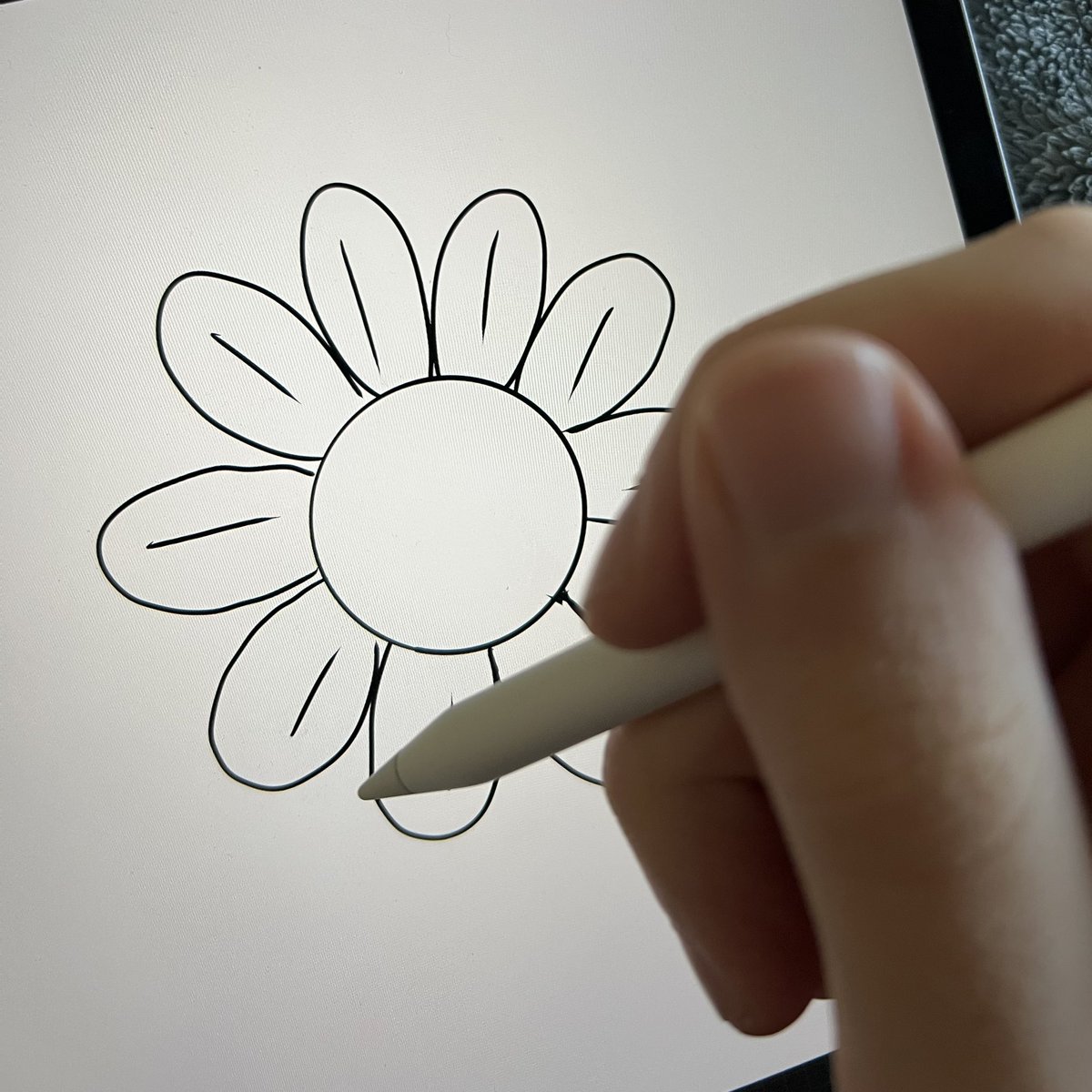 Evan Hilton 💹 tweet media