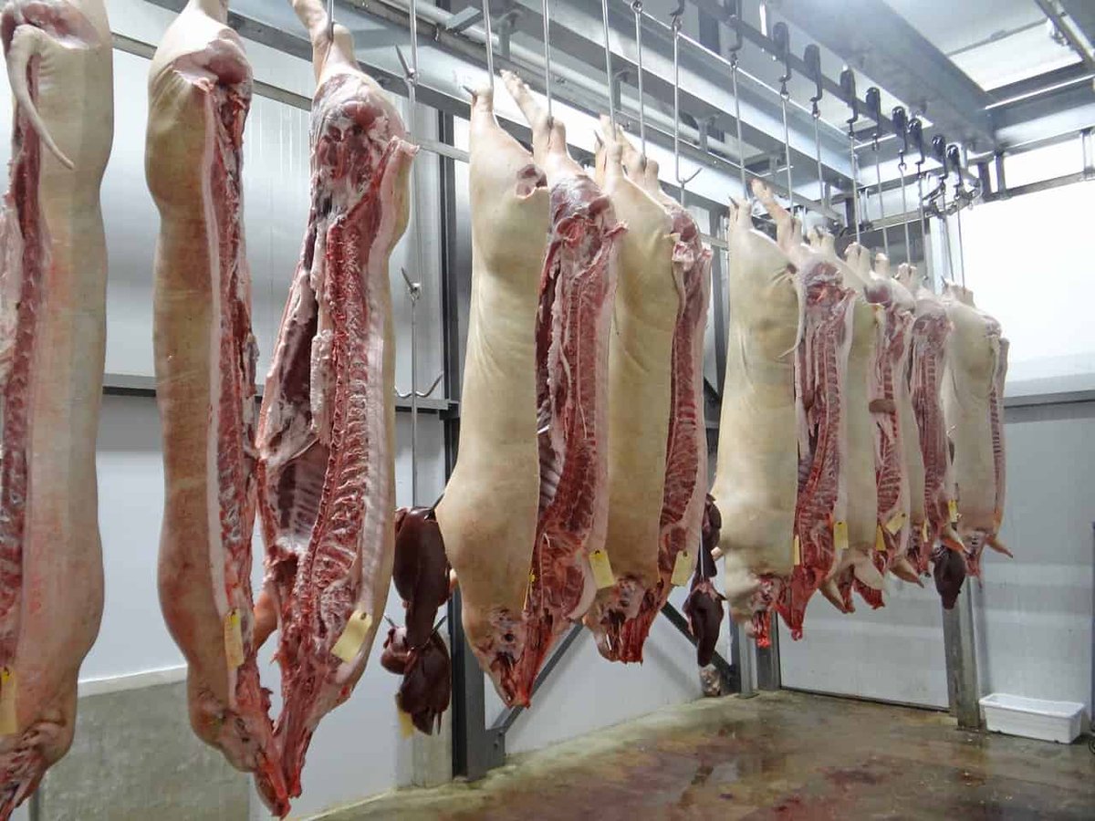 Tsogang3's tweet photo. To those who don't eat animal products especially pork, please stay away from marshmallows if you know what gelatin is ☺️ enjoy your weekend ☺️ https://t.co/lZTIbyORQy