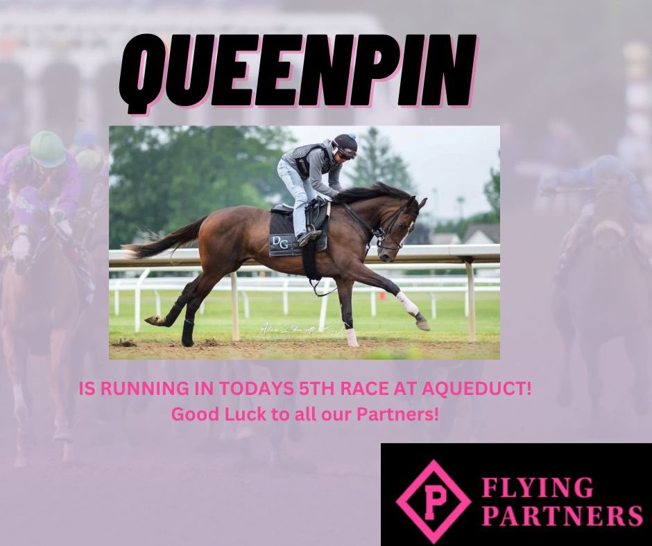 Flying Partners Racing tweet media