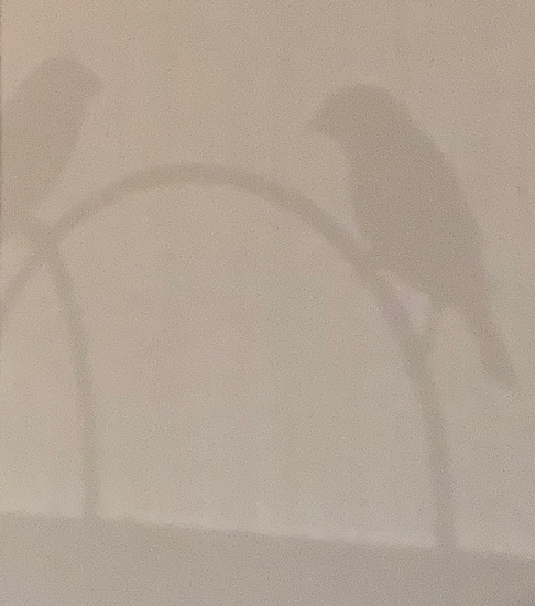 phuul's tweet photo. Took this a couple days ago. Seems fitting. https://t.co/Emfr81N0at