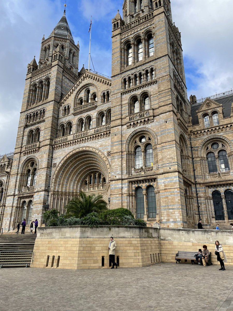 sharingtandl's tweet photo. Some amazing things to draw @NHM_London https://t.co/fJ9xpDhkGN