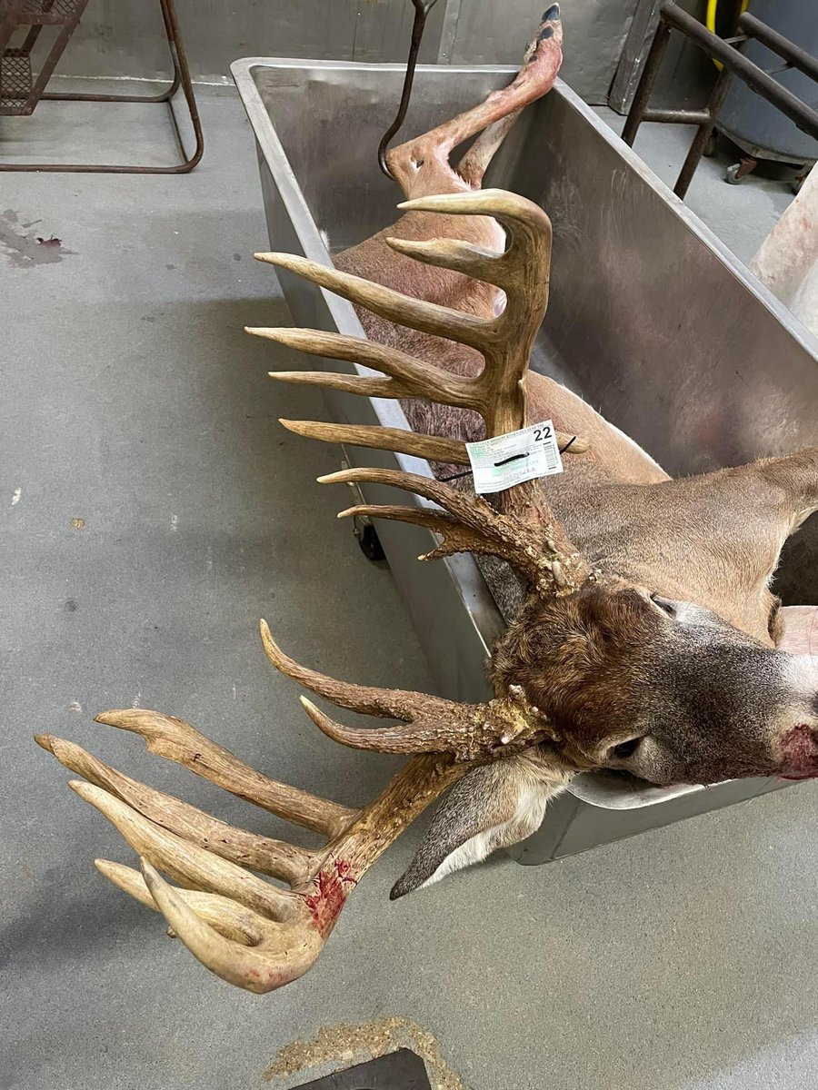 Mazonia Hunt Club tweet media