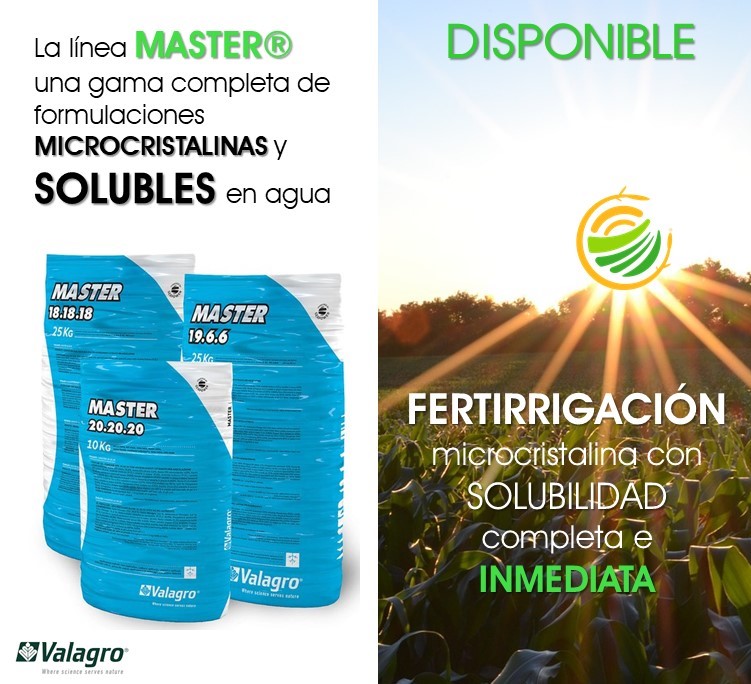 Insapro_sas's tweet photo. Porque estamos atentos a tus requerimientos amigo productor, tenemos la línea MASTER® de #Valagro
#Insapro #Nutricampo #Colombia #Enmiendas #Fertilizantes #Barranquilla #RegioCaribe #Atlantico https://t.co/XOMnwtGFc2