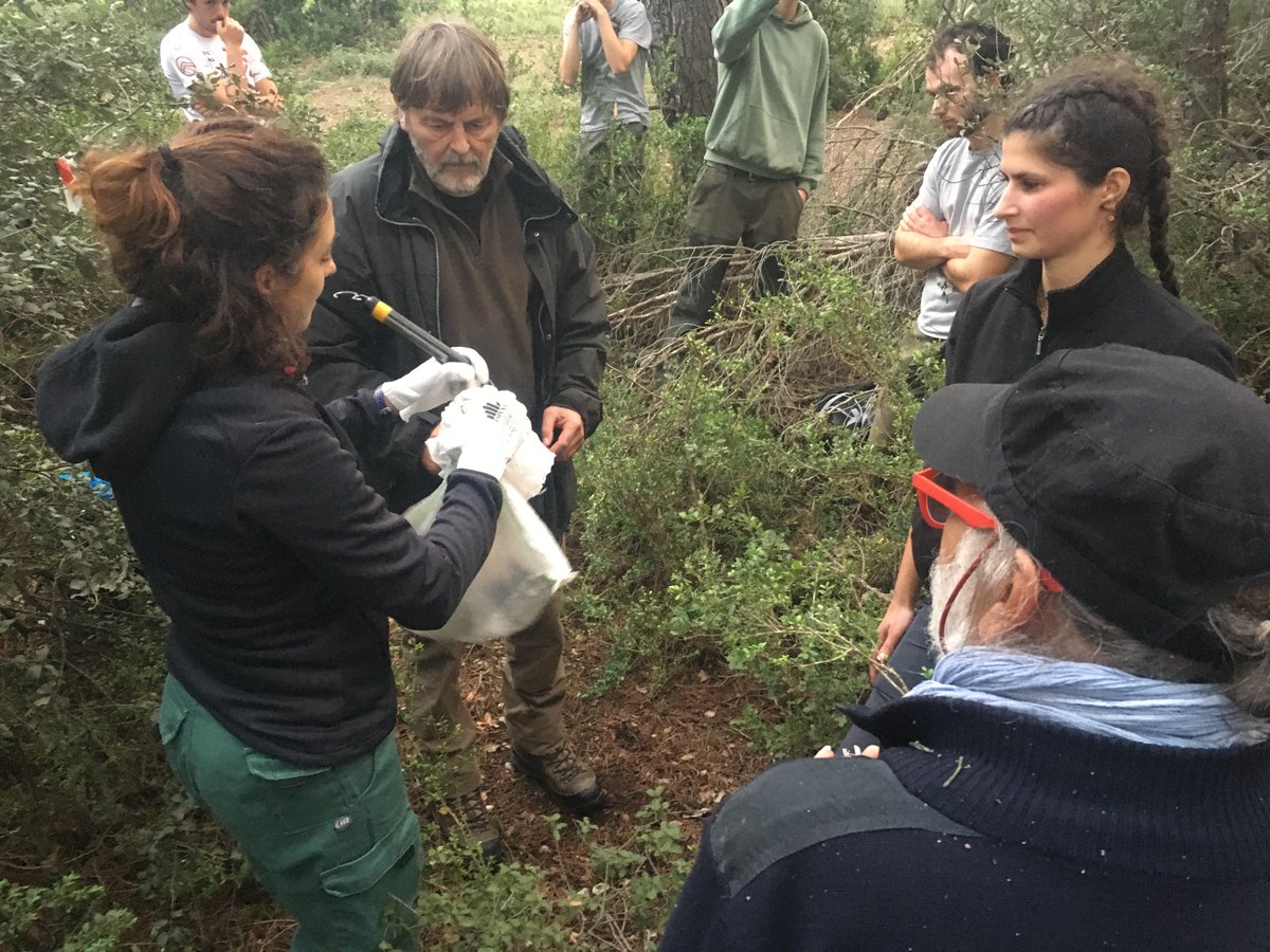 SCALED ERC Project tweet media