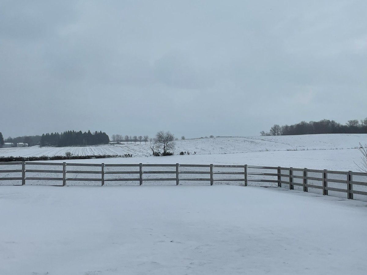 nephyrus's tweet photo. snow! https://t.co/ZksWxi6IoF