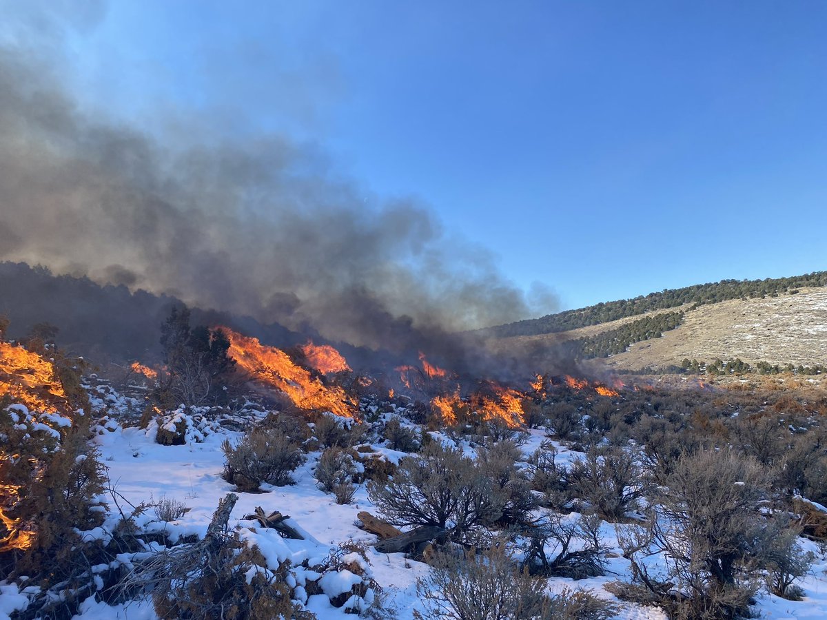 UtahWildfire's tweet photo. #usfsFNF Richfield RD burned approximately 250 acres on the #LostCreekSlashRx yesterday. Crews plan to continue hand ignitions today. #FuelsProjects https://t.co/izGzuEqigj