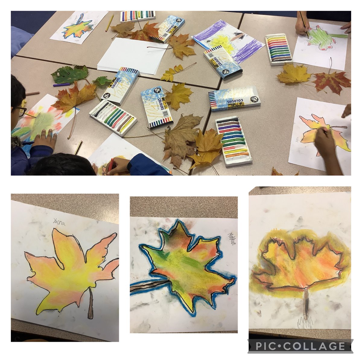 High Hazels Academy Y3 tweet media