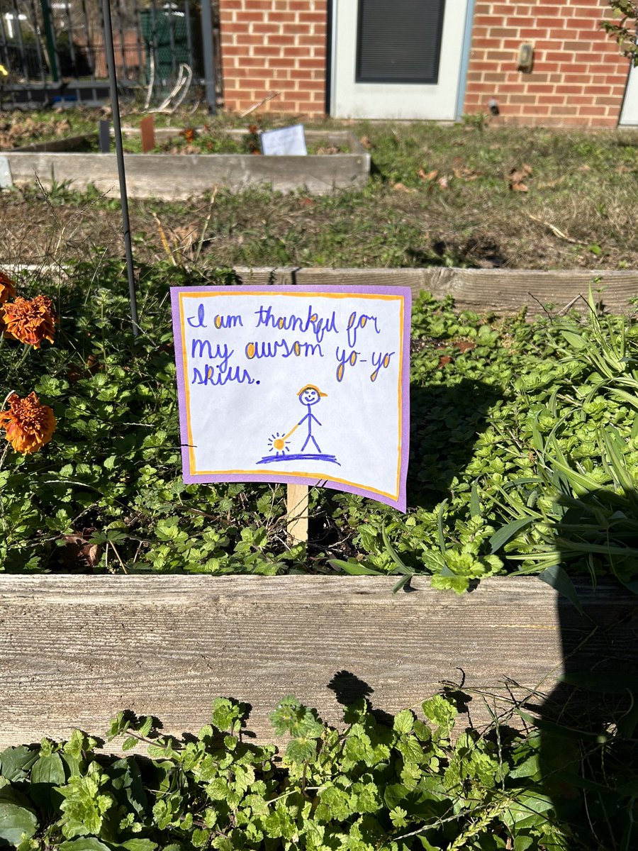 Carol Mohn tweet media