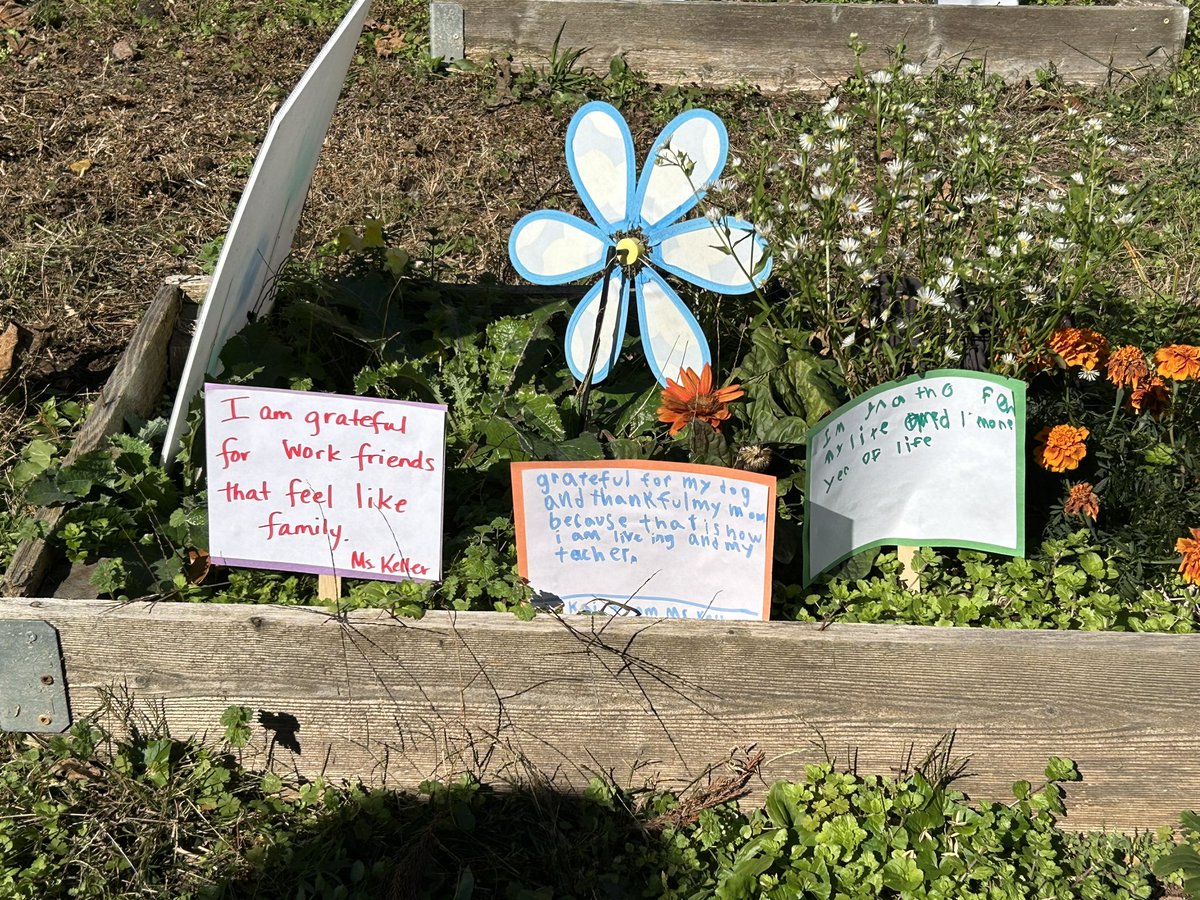 Carol Mohn tweet media