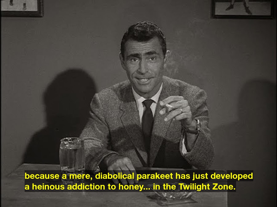 rodserlingzone's tweet photo. because a mere, diabolical parakeet has just developed a heinous addiction to honey... in the Twilight Zone. https://t.co/bAeCJQdfja