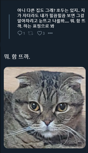 뭐. 함 뜨까.