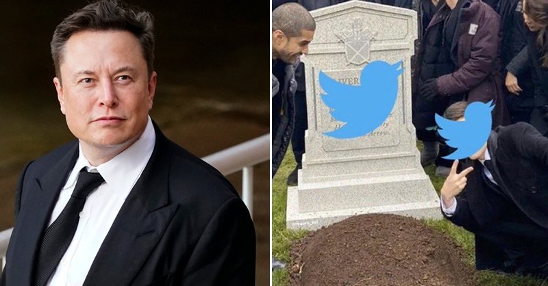 thepakistan2021's tweet photo. Elon Musk, the new owner of Twitter, shared a photo in which Twitter's tomb can be seen,what Elon Musk ultimately wants to do?

#RIPTwitter #GoodByeTwitter
#TwitterDown #Twittershutdown
#BanJoyLand_BehayaGovt
#ElonMusk  #BeforeTwitter

For More Visit:https://t.co/6mtGGxh2d6 https://t.co/4XZz8EzdRQ